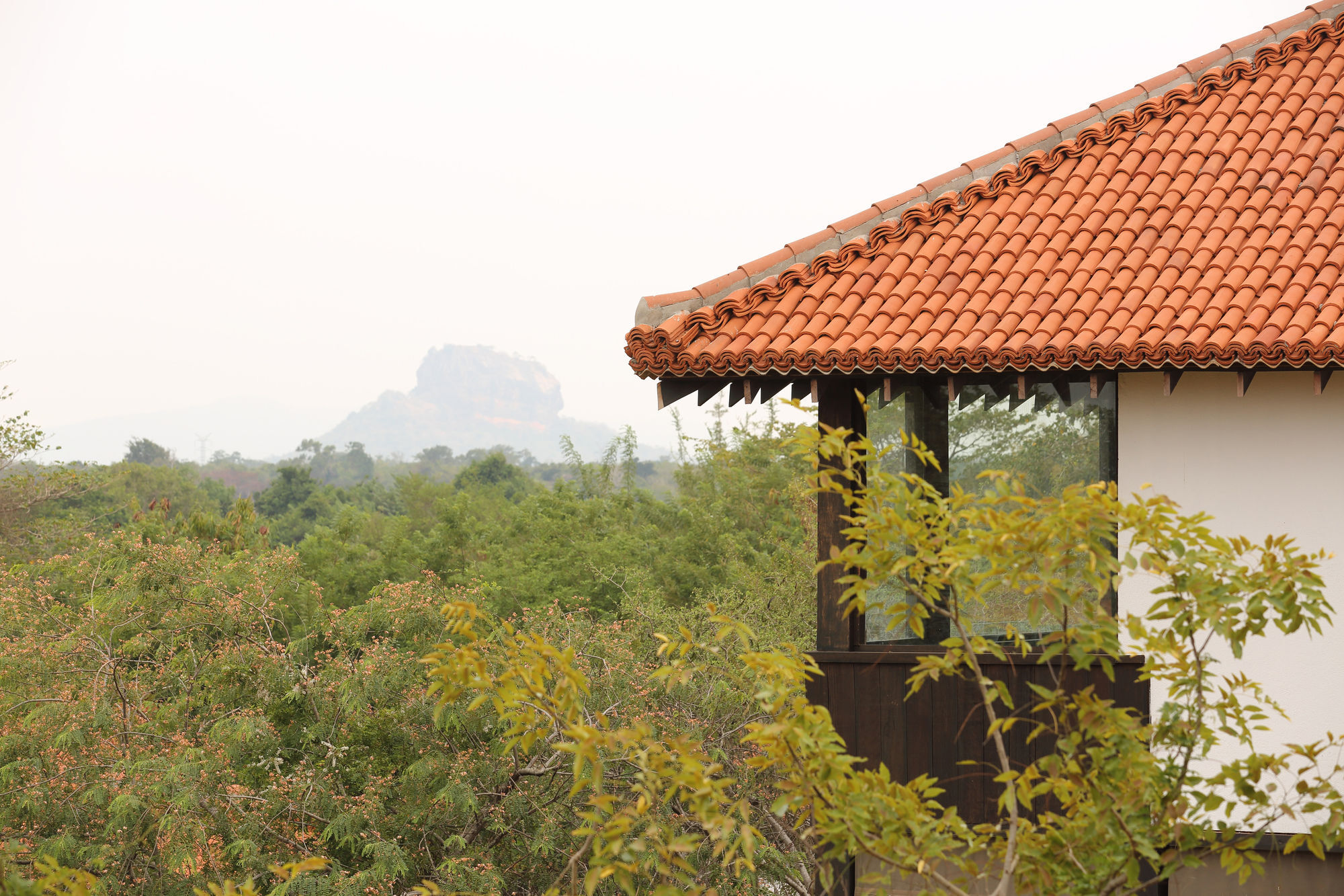 Sigiriyajungles Resort & Spa Ngoại thất bức ảnh
