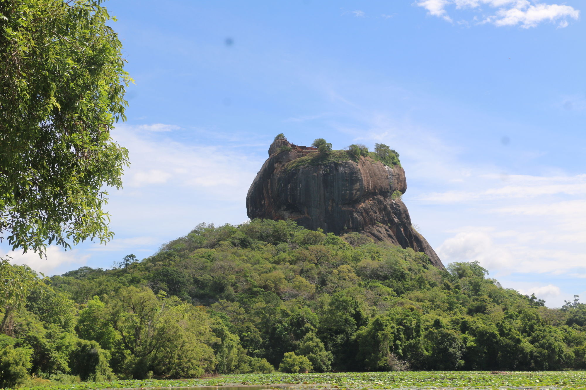 Sigiriyajungles Resort & Spa Ngoại thất bức ảnh